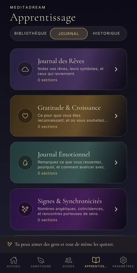 Cinq journaux : rêves, gratitude, émotions, synchronicités, expériences spirituelles. Les journaux : rêves, gratitude, émotions, signes et synchronicités
